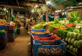 IIP Online Student Photography